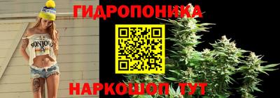 ECSTASY Будённовск